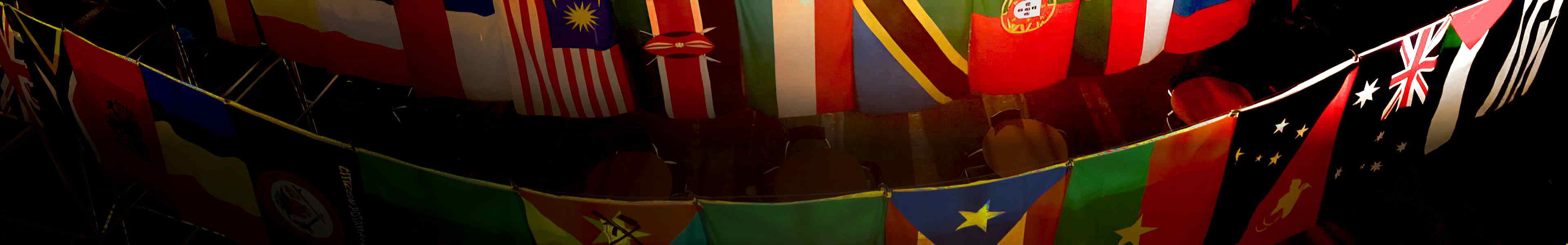 Flags from around the world hanging on horizontal catenaries above the ground floor of Wilson Commons at the University of Rochester