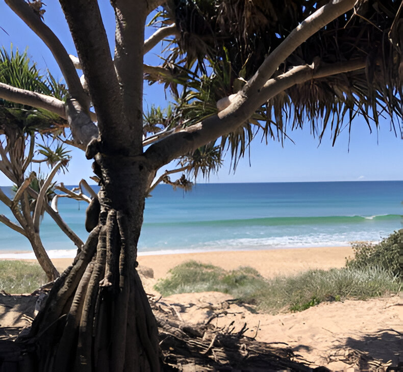 Beach at Sunshine Coast